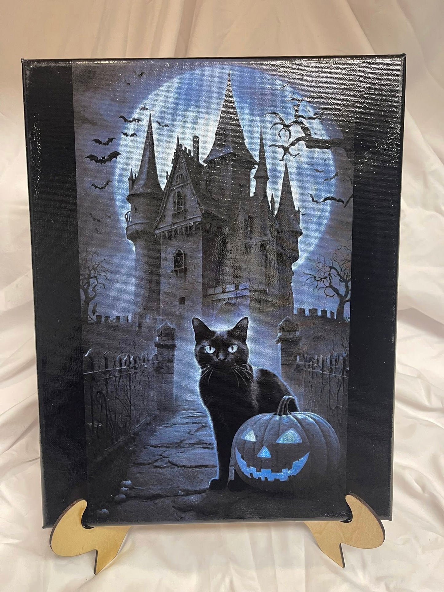 Haunted House with Cat