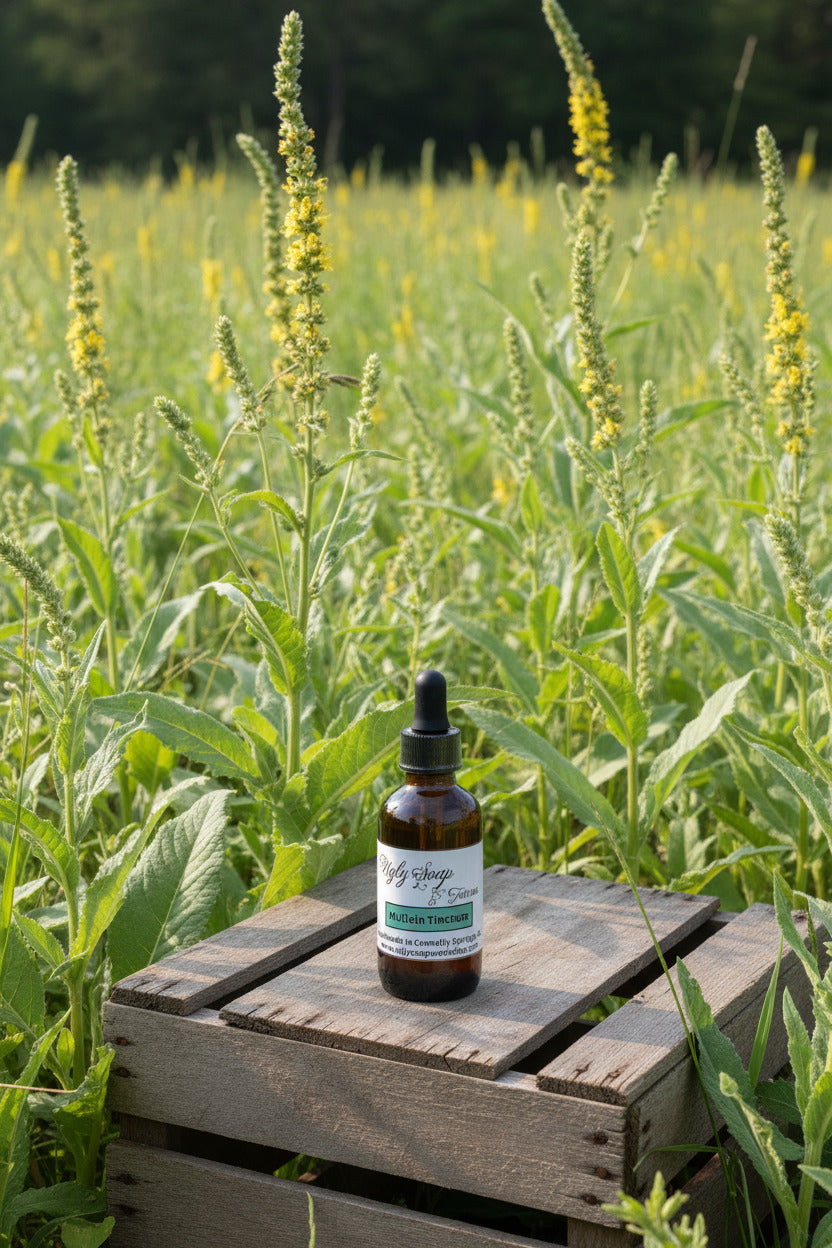 Mullein Tincture