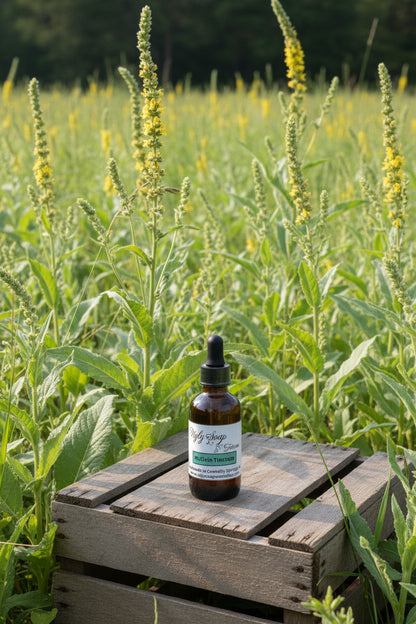 Mullein Tincture