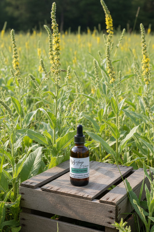 Mullein Tincture