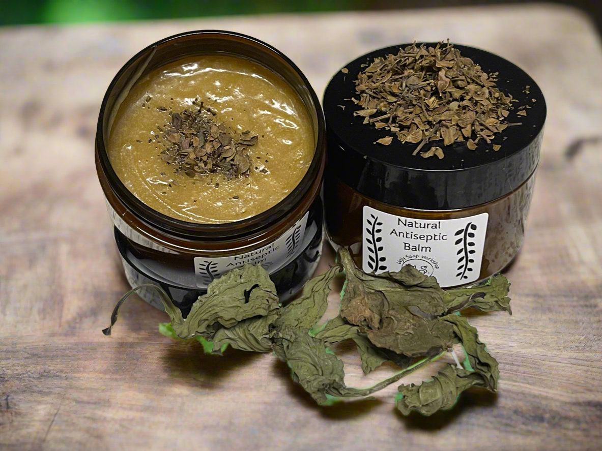 Chaparral, Plantain, Jojoba and Almond oil Salve
