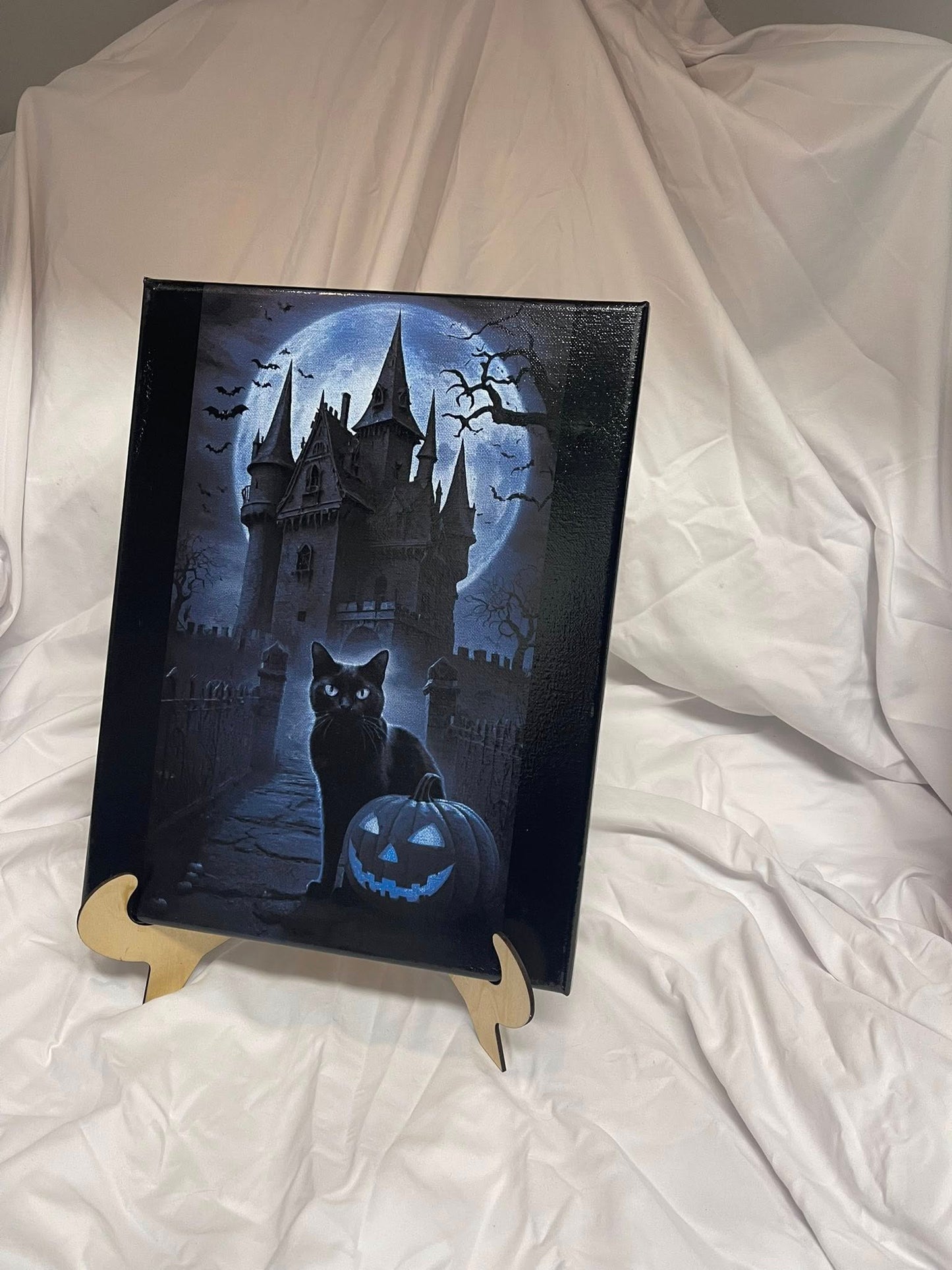 Haunted House with Cat