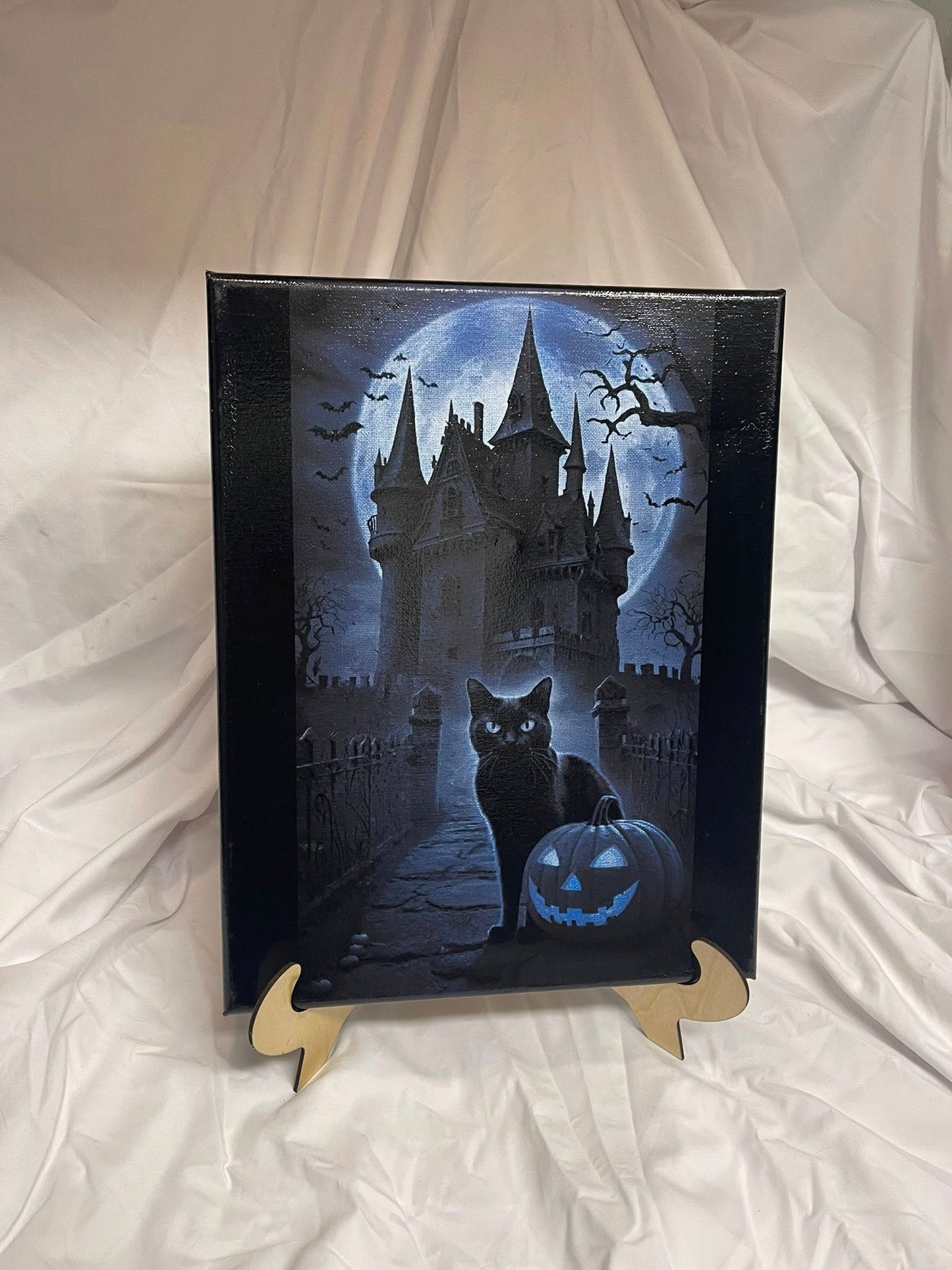 Haunted House with Cat