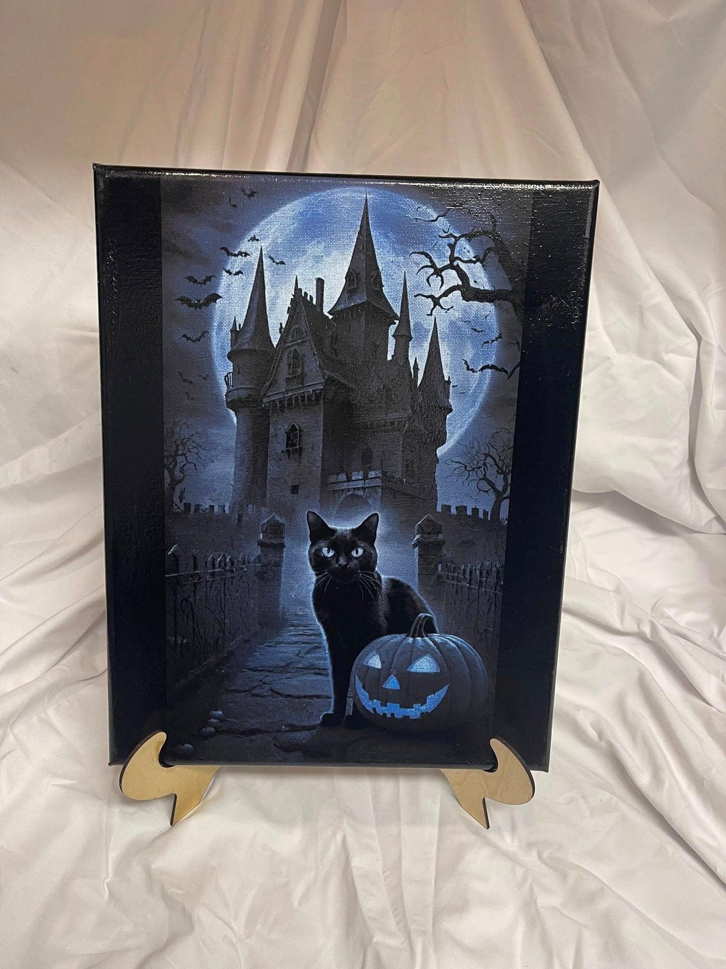 Haunted House with Cat