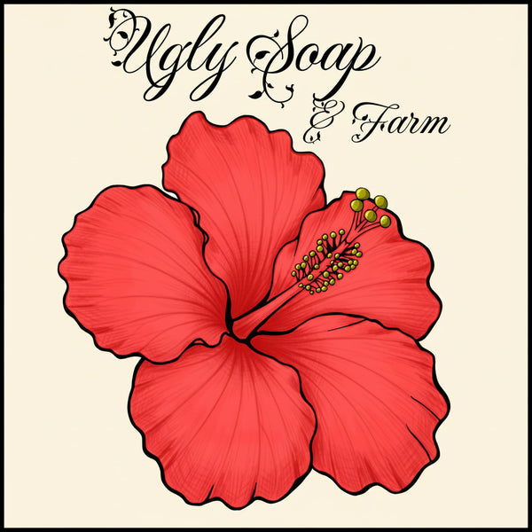 Ugly Soap Workshop